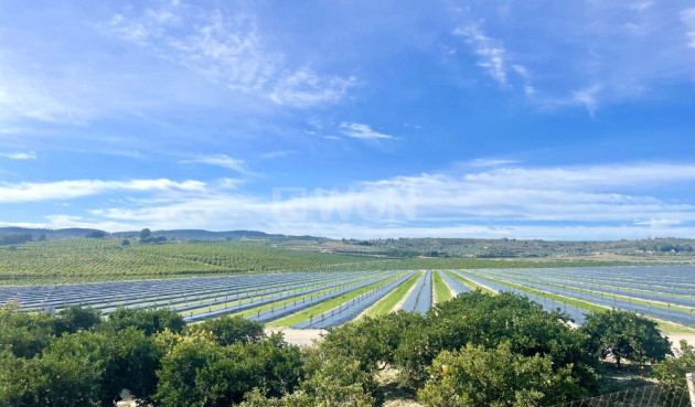 Reventa - Apartamento / piso - Orihuela Costa - Costa Blanca