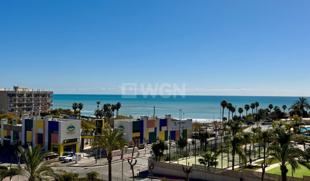 Odsprzedaż - Mieszkanie w bloku - Pilar de la Horadada - Costa Blanca