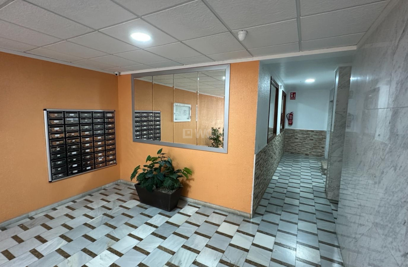 Reventa - Apartamento / piso - Torrevieja - Costa Blanca