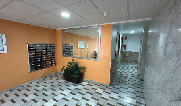 Reventa - Apartamento / piso - Torrevieja - Costa Blanca