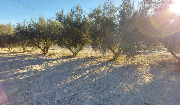 Reventa - Villa - Murcia - Inland