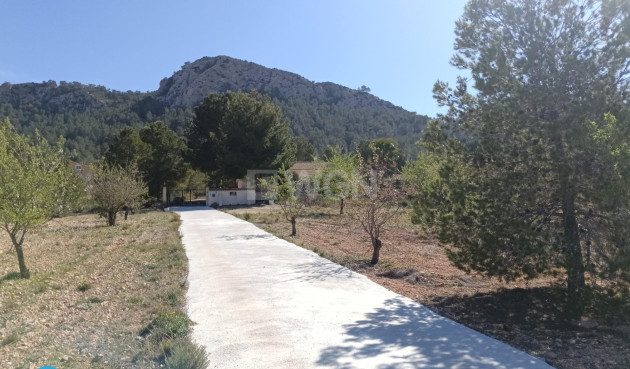 Reventa - Villa - Abanilla