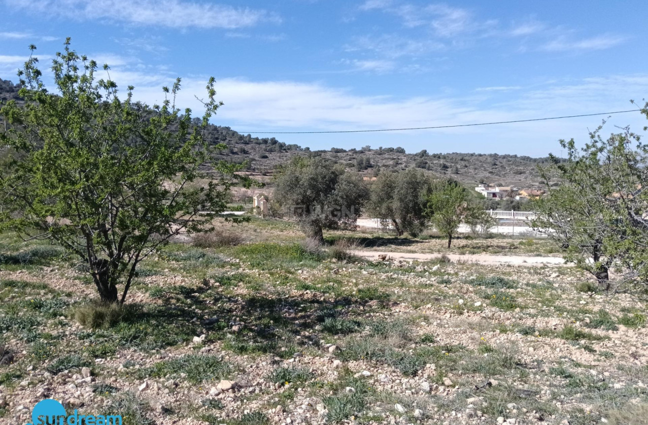 Reventa - Villa - Abanilla