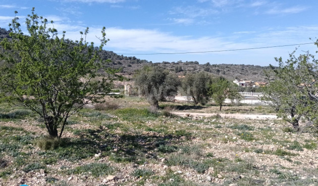 Reventa - Villa - Abanilla