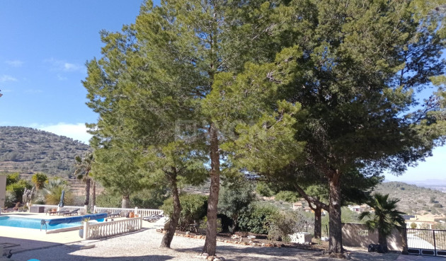 Reventa - Villa - Abanilla