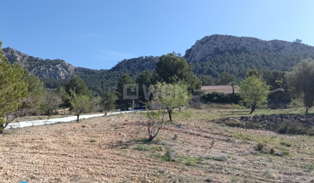 Reventa - Villa - Abanilla