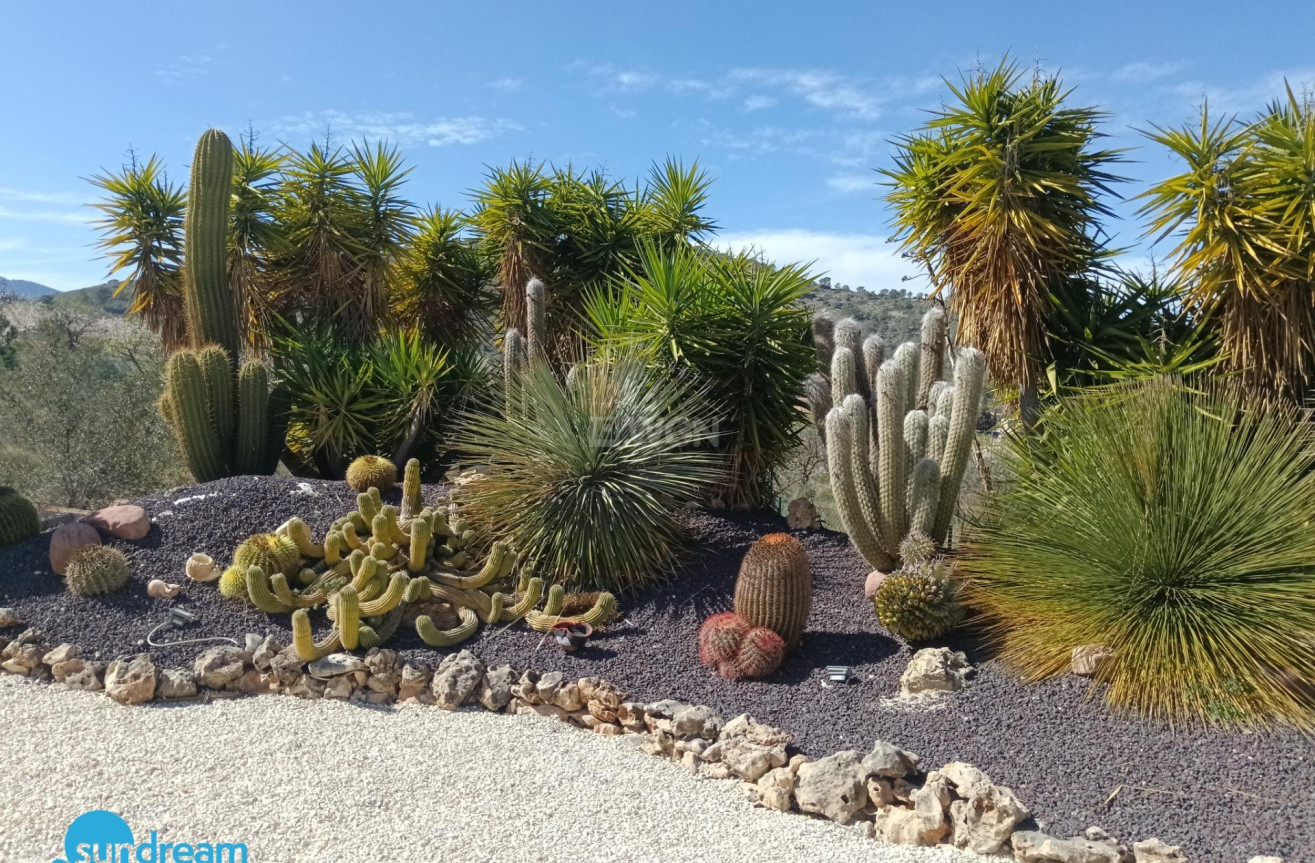 Reventa - Villa - Abanilla