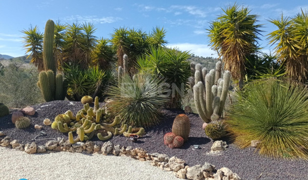 Reventa - Villa - Abanilla