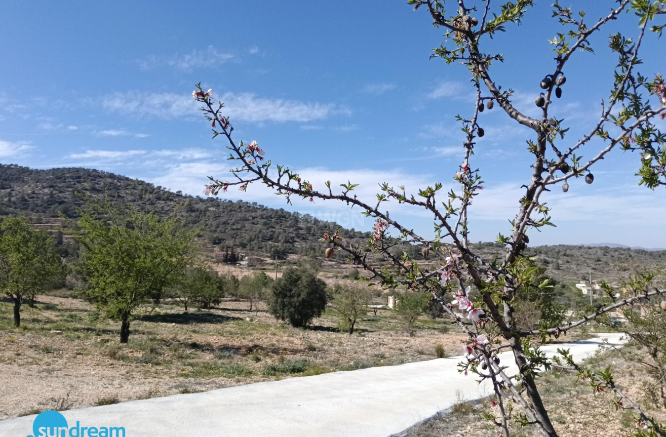 Reventa - Villa - Abanilla