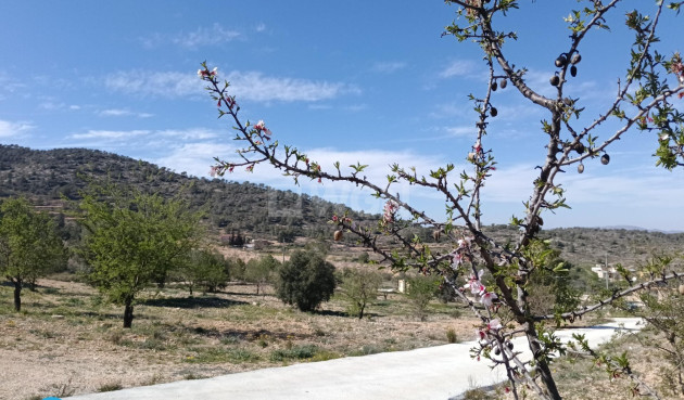 Reventa - Villa - Abanilla