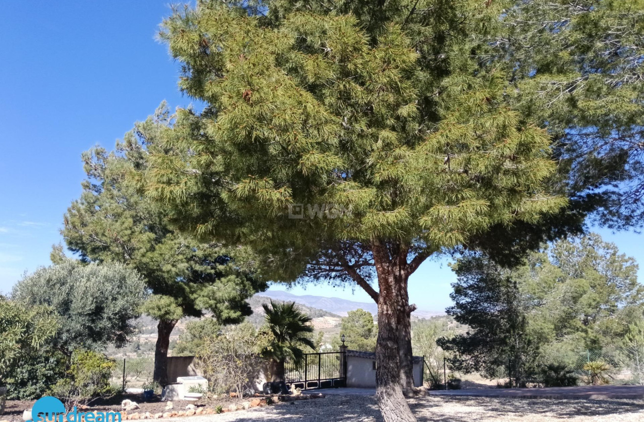 Reventa - Villa - Abanilla