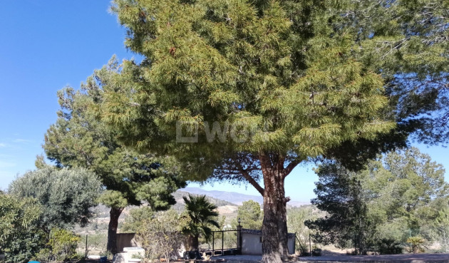 Reventa - Villa - Abanilla