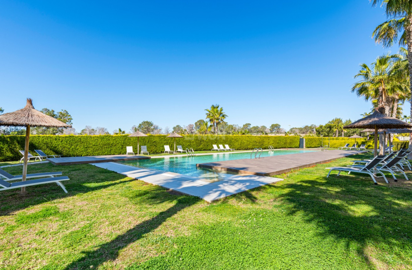 Odsprzedaż - Mieszkanie w bloku - Orihuela - Inland