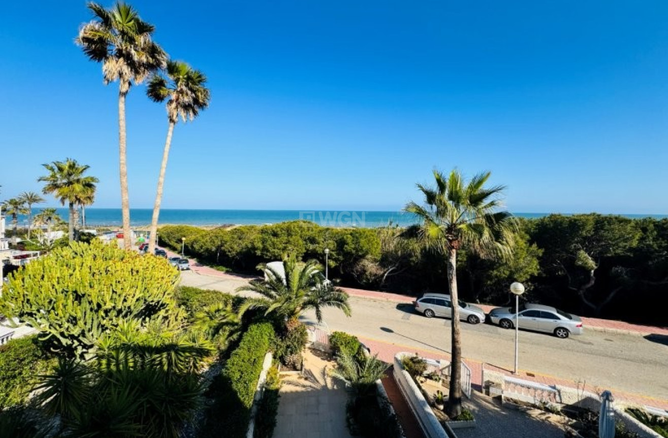 Odsprzedaż - Dupleks - Guardamar del Segura - Costa Blanca