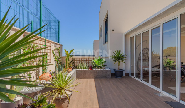 Odsprzedaż - Mieszkanie w bloku - San Miguel de Salinas - Bellavista