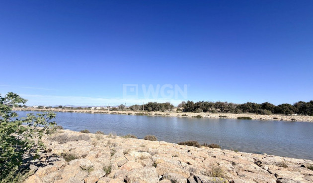 Wiederverkauf - Wohnung - Guardamar del Segura - Costa Blanca