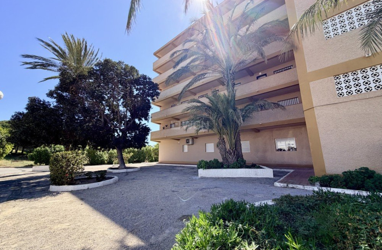 Odsprzedaż - Mieszkanie w bloku - Guardamar del Segura - Costa Blanca
