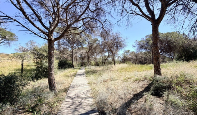 Odsprzedaż - Mieszkanie w bloku - Guardamar del Segura - Costa Blanca