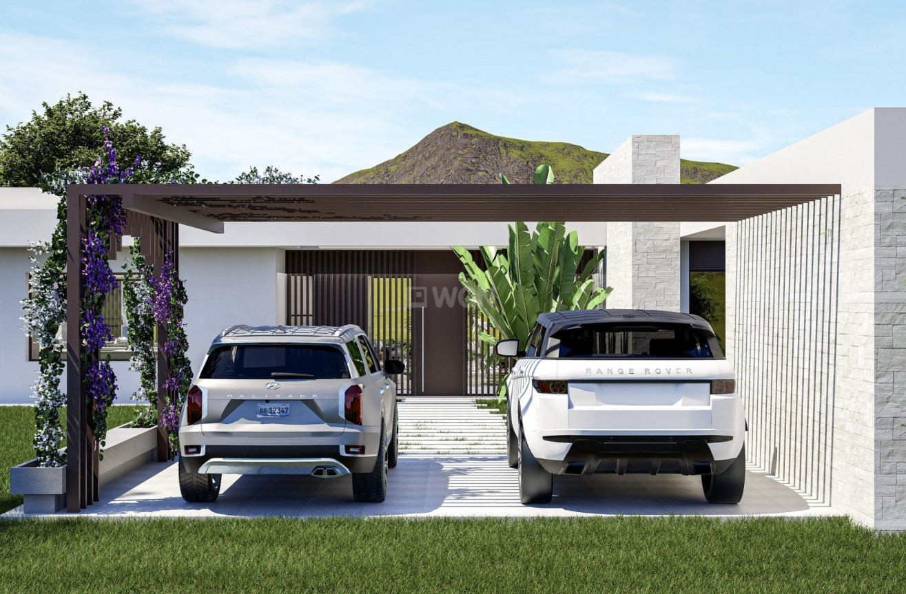 Nowy budynek - Villa - Pinoso - Lel