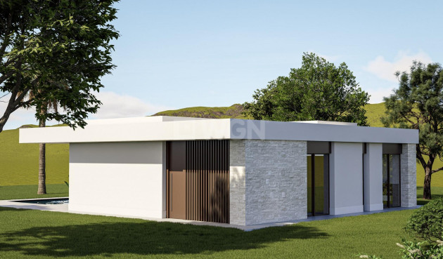 Nowy budynek - Villa - Pinoso - Lel