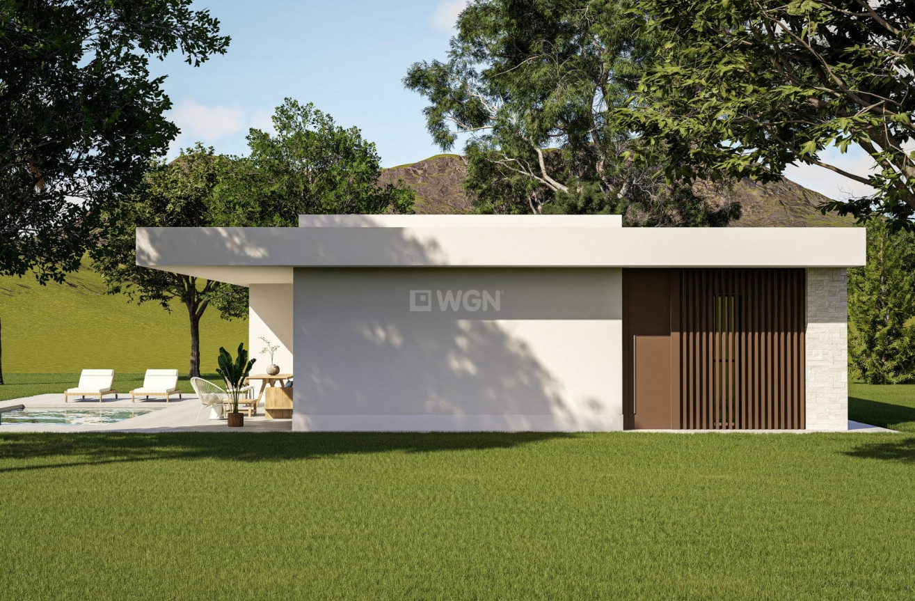 Nowy budynek - Villa - Pinoso - Lel