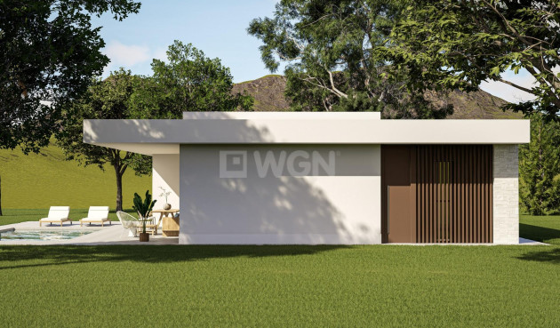 Nowy budynek - Villa - Pinoso - Lel