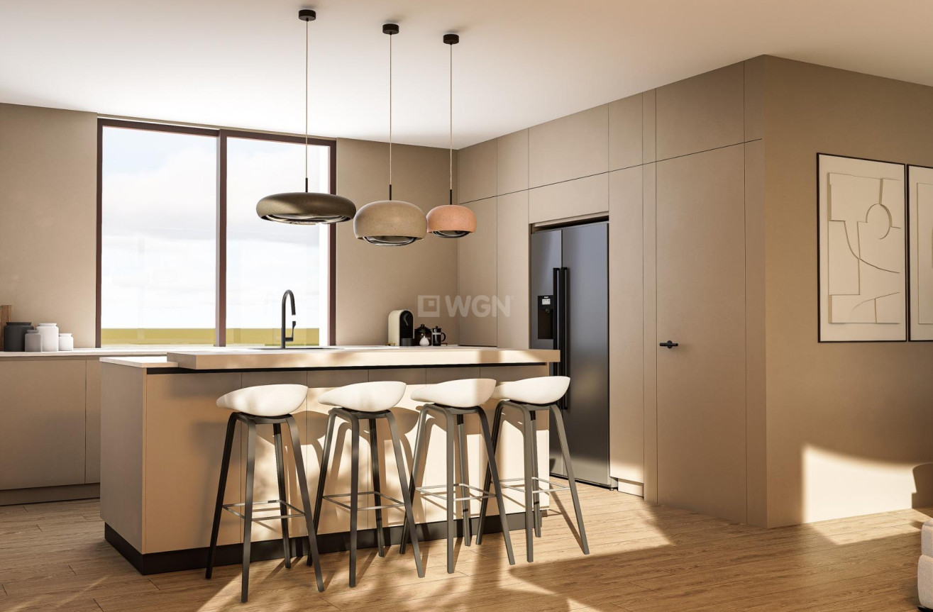 Nowy budynek - Villa - Pinoso - Lel