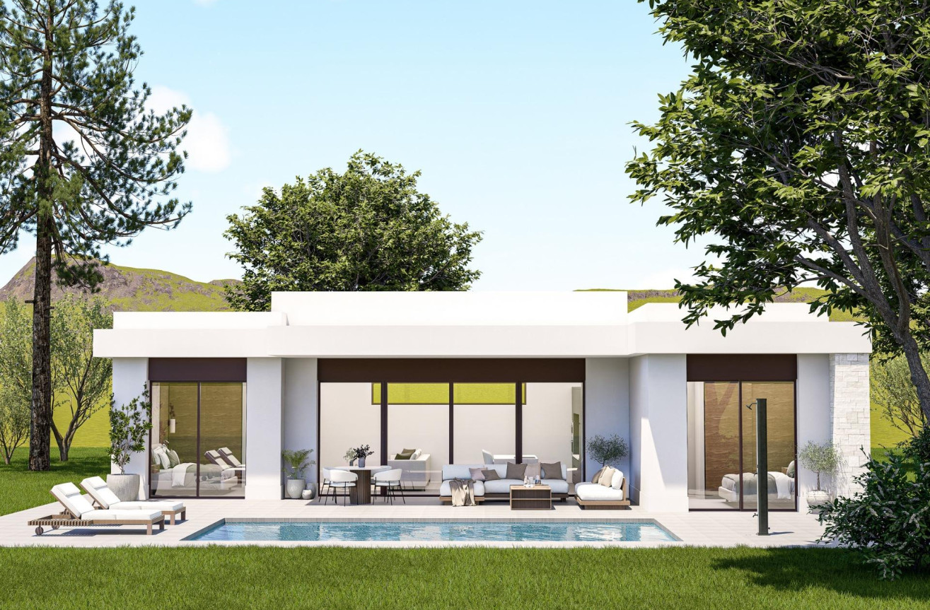 Nowy budynek - Villa - Pinoso - Lel