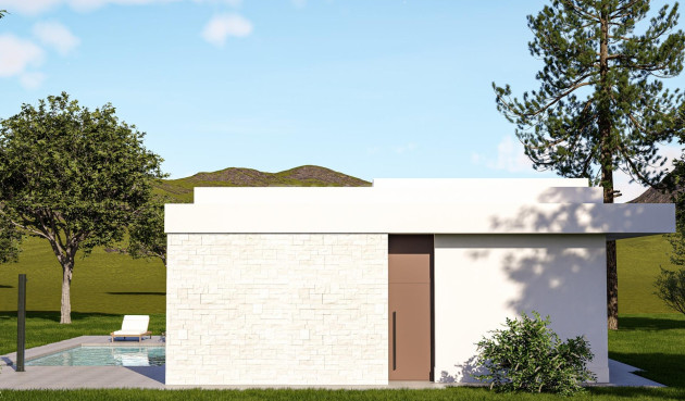 Nowy budynek - Villa - Pinoso - Lel