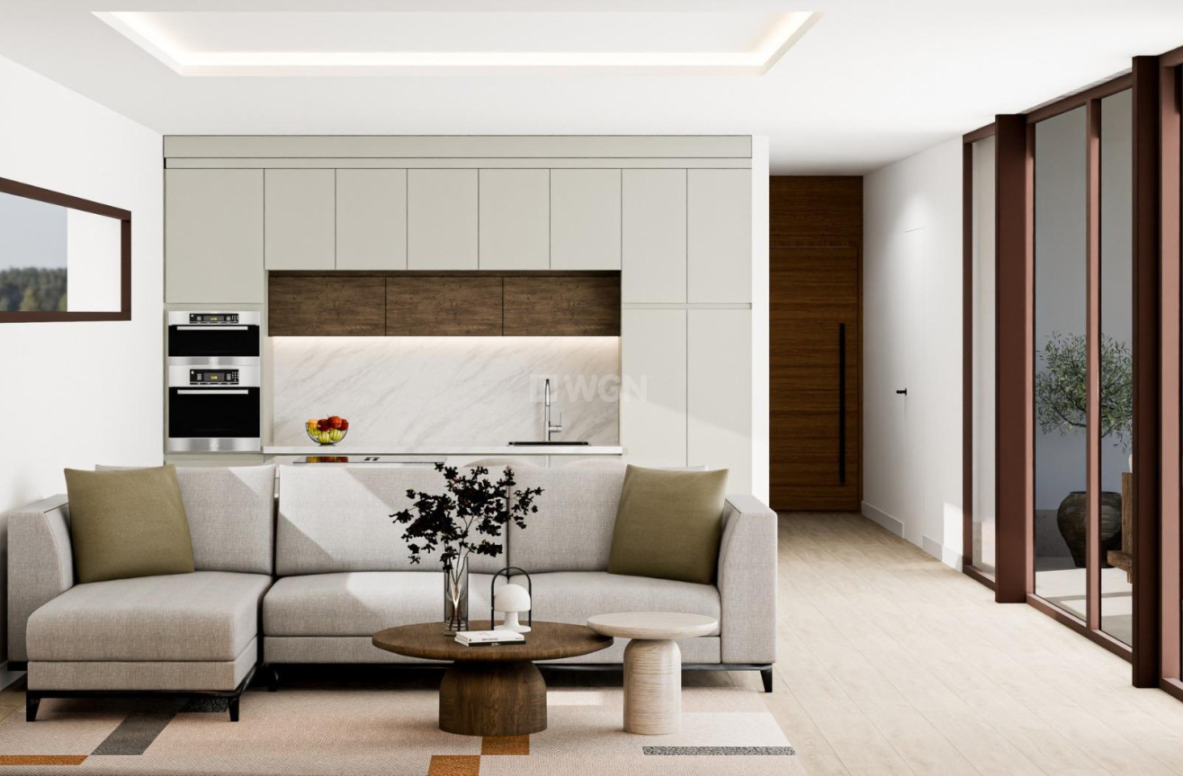 Nowy budynek - Villa - Pinoso - Lel