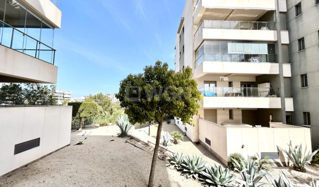 Odsprzedaż - Mieszkanie w bloku - Los Dolses - Inland