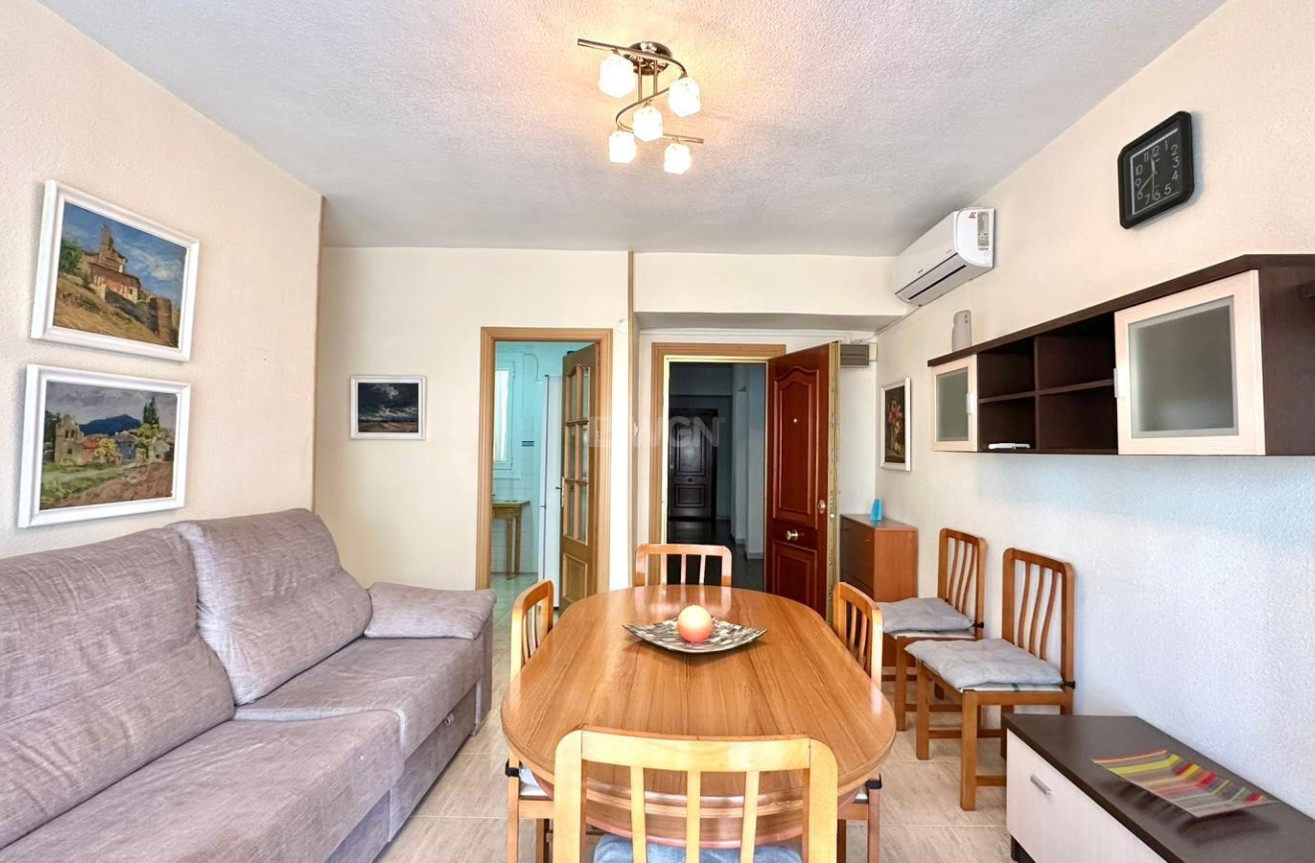 Odsprzedaż - Mieszkanie w bloku - Torrevieja - Estacion De Autobuses