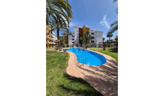 Wiederverkauf - Wohnung - Punta Prima - Costa Blanca
