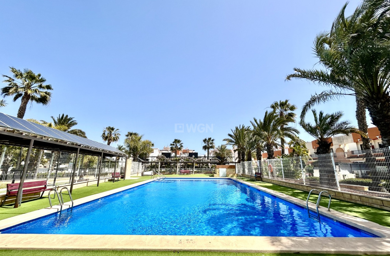 Odsprzedaż - Kamienica - Los Dolses - Inland