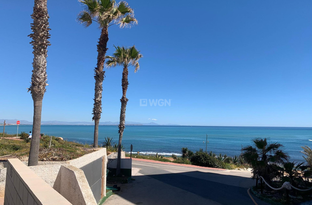 Wiederverkauf - Wohnung - Torrevieja - Cabo Cervera