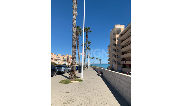 Wiederverkauf - Wohnung - Torrevieja - Cabo Cervera