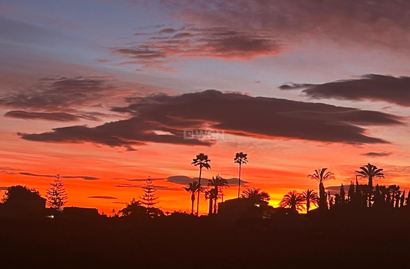 Odsprzedaż - Villa - Dolores - Comunidad Valenciana