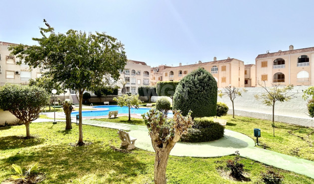Reventa - Apartamento / piso - Torrevieja - Costa Blanca