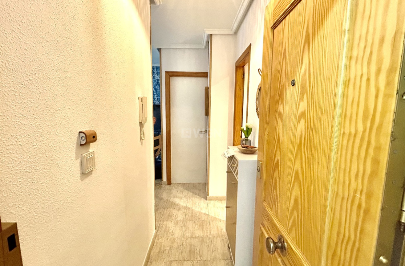 Reventa - Apartamento / piso - Torrevieja - Costa Blanca