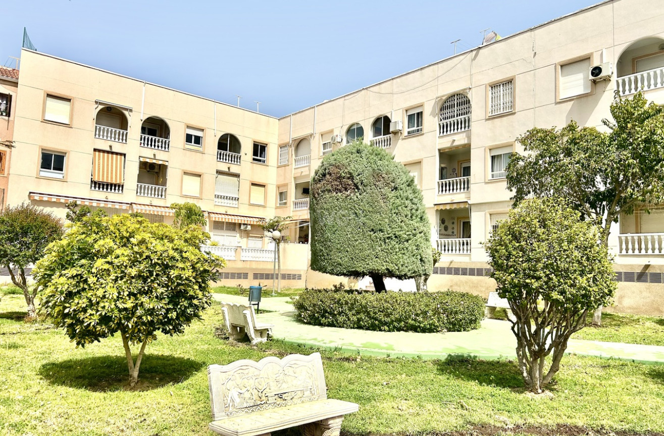 Reventa - Apartamento / piso - Torrevieja - Costa Blanca