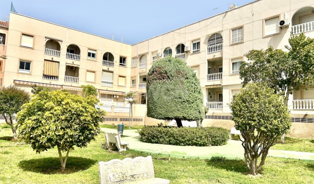 Reventa - Apartamento / piso - Torrevieja - Costa Blanca