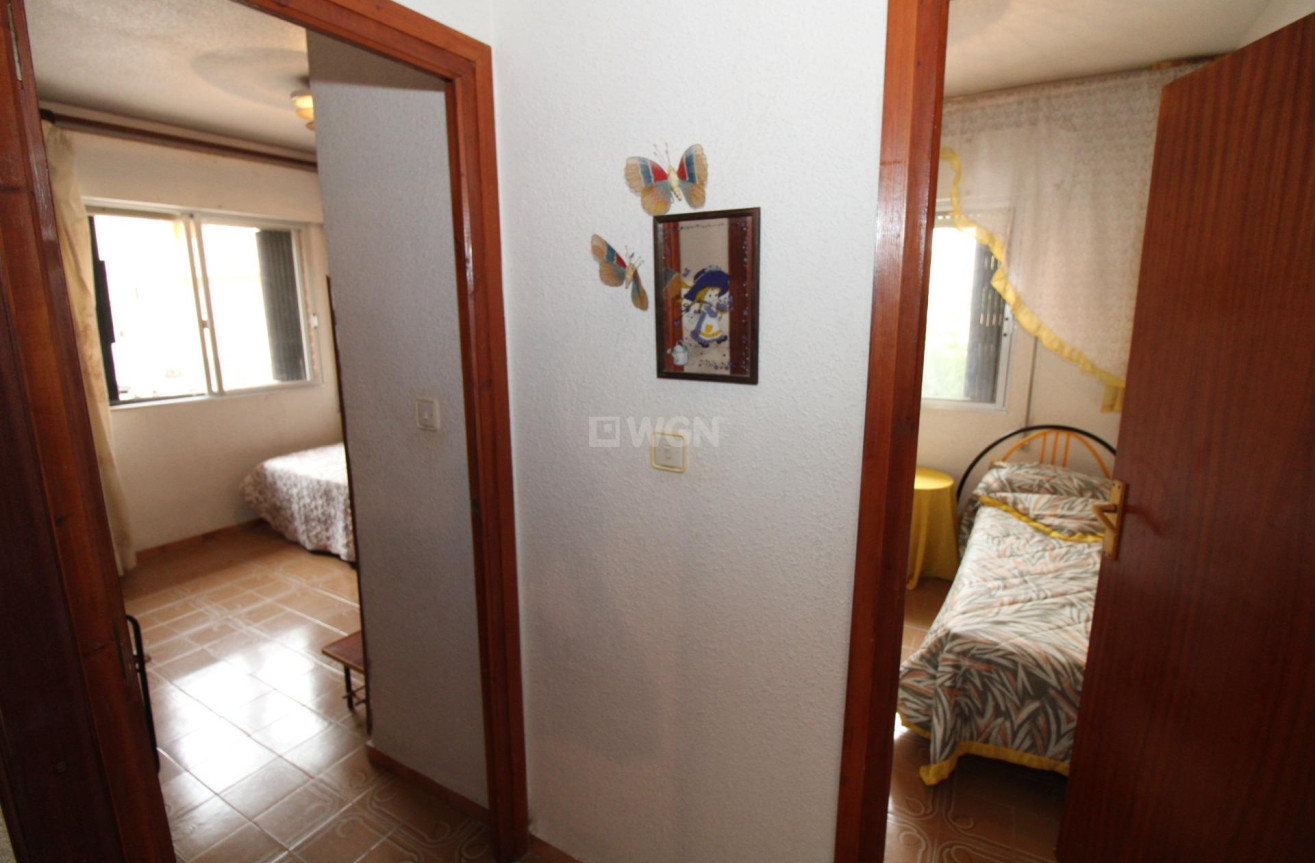 Reventa - Apartamento / piso - Lo Pagan - LA PUNTICA