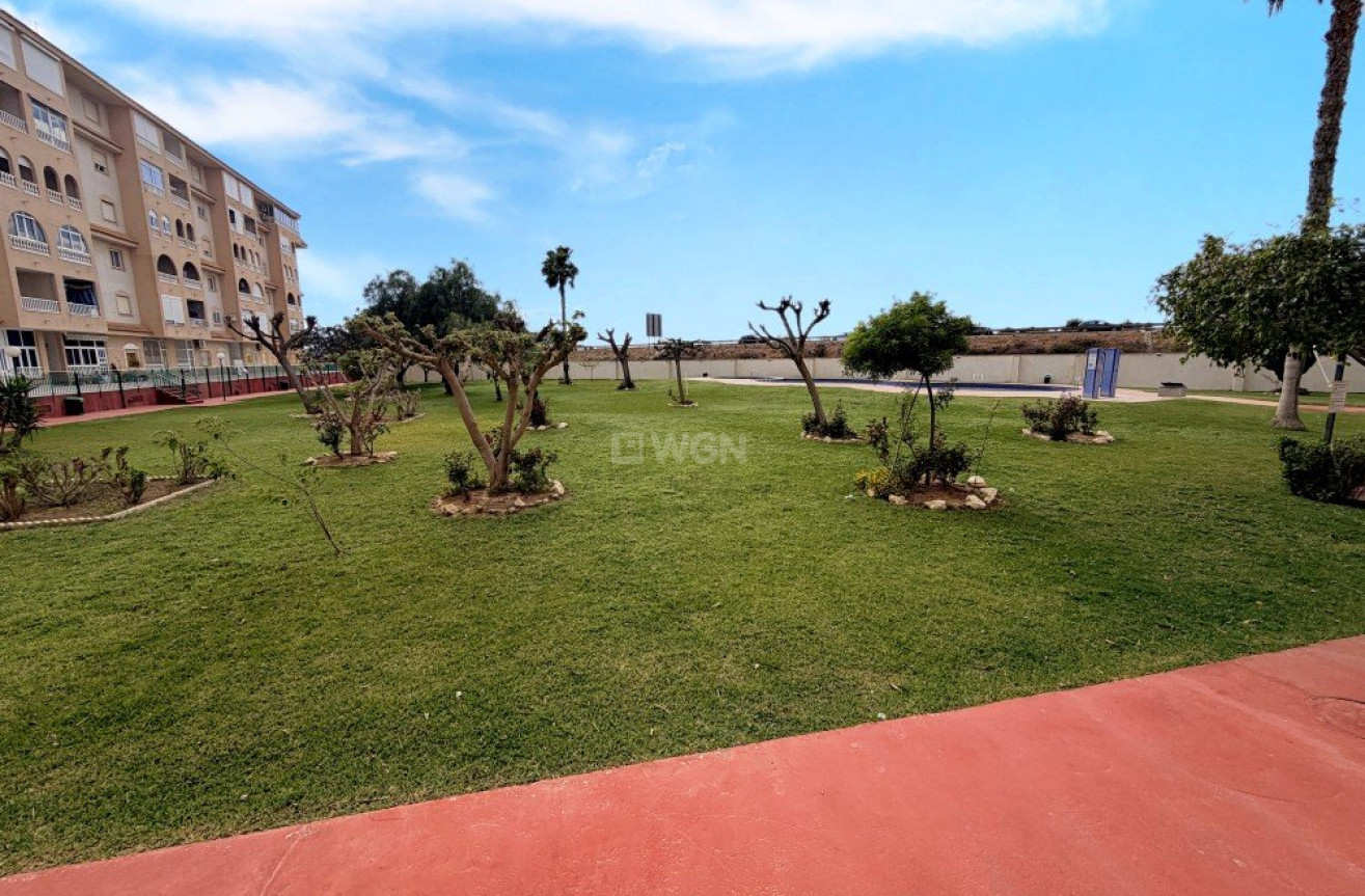 Reventa - Ático - Torrevieja - Costa Blanca