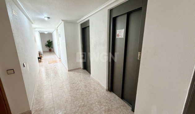 Reventa - Ático - Torrevieja - Costa Blanca