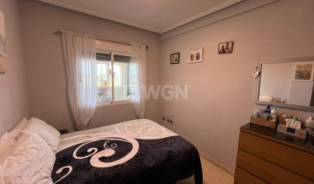 Resale - Apartment / flat - Dolores - Comunidad Valenciana