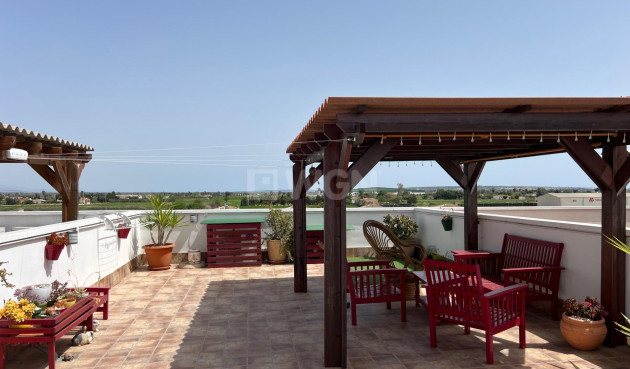 Resale - Apartment / flat - Dolores - Comunidad Valenciana