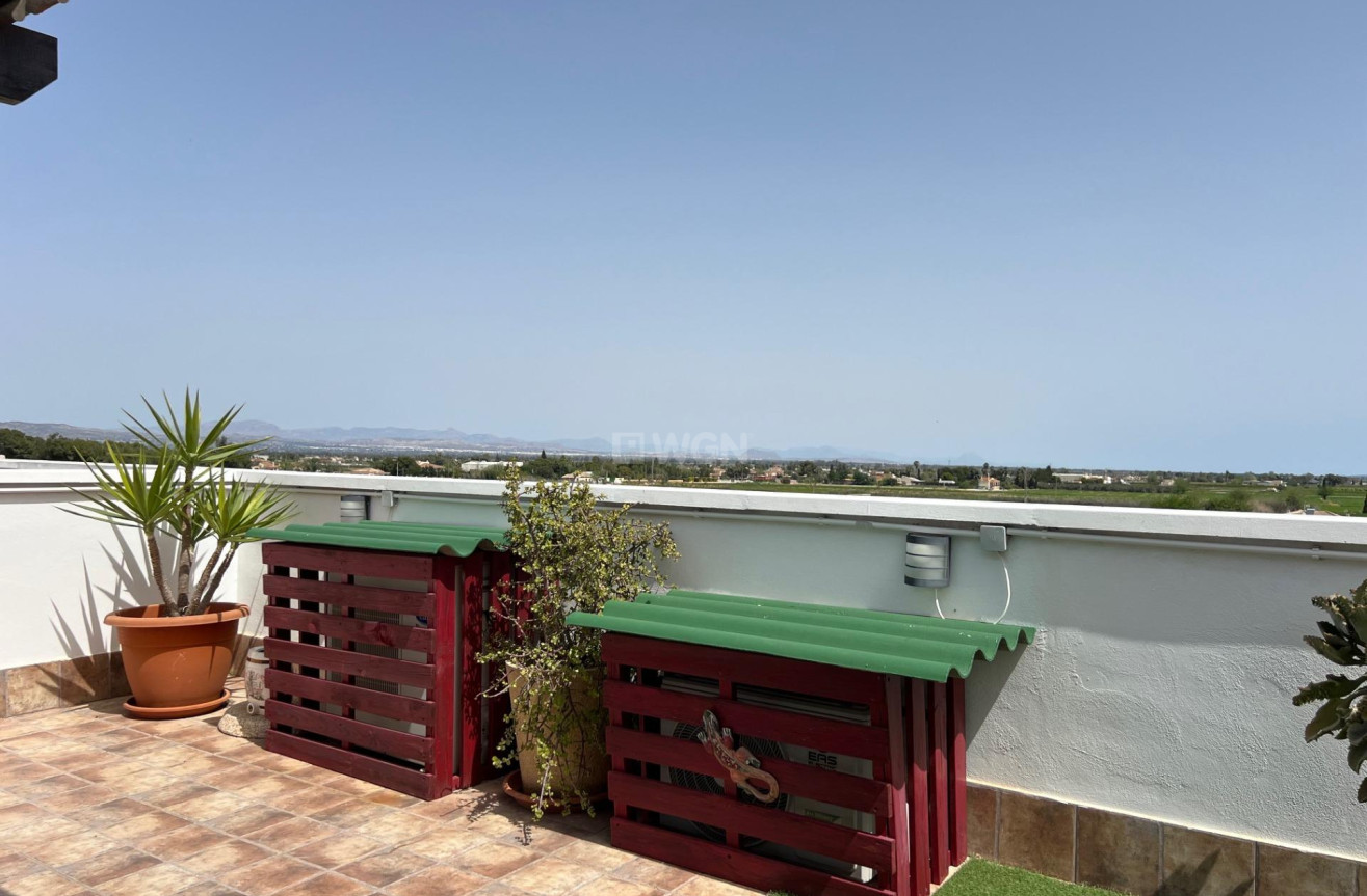 Resale - Apartment / flat - Dolores - Comunidad Valenciana