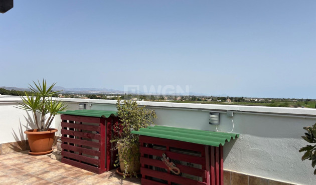 Resale - Apartment / flat - Dolores - Comunidad Valenciana