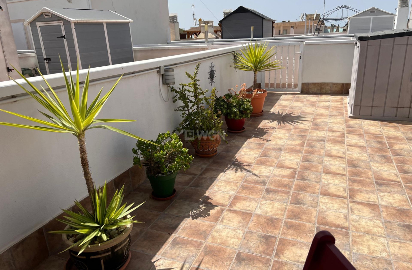Resale - Apartment / flat - Dolores - Comunidad Valenciana