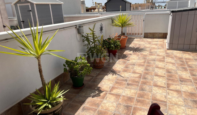 Resale - Apartment / flat - Dolores - Comunidad Valenciana